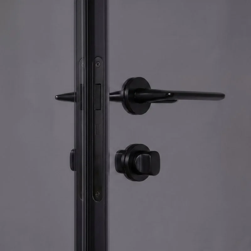 Concealed door faced with graphite mirror glass